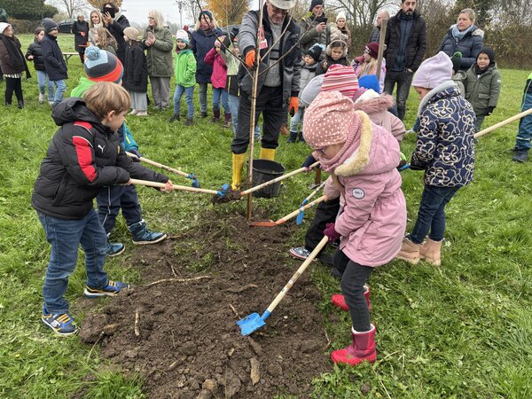 Bild vergr&ouml;&szlig;ern: Einschulungsbaum 2025 - Baum setzen