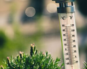 Bild vergr&ouml;&szlig;ern: Thermometer