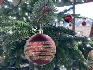 Bild vergrößern: Rote Weihnachtskugel am Tannenbaum
